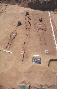 Click to zoom the picture.